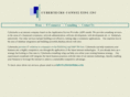 cybertechsinc.com