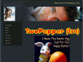 twopepper.com