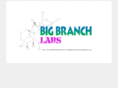 bigbranchlabs.com
