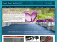 carpetrepairservices.com