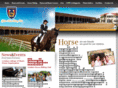 goldenhorseridingclub.com