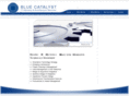 bluecatalyst.net