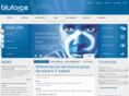 bluforce-group.com