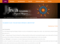 jivaconsultants.com