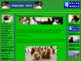 pinguine.info