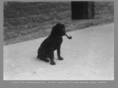 physicspackage.org