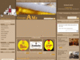 legroupe-ami.com