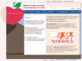 mpsfoundation.com