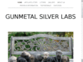 gunmetalsilverlabs.com
