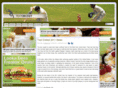 testcricket.net