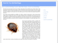 howdoyougetbedbugs.info