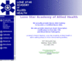 lsacademy.org