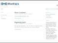 bluevajra.com