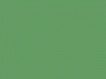 pozzi-cpa.com