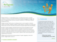 seligentsolutions.com