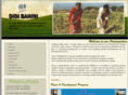didibahini.org