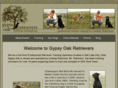 gypsyoakretrievers.com