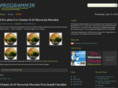 pr0gr4mm3r.com