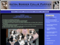 bordercolliepuppies.co.uk