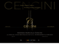 vinicencini.com