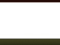 lcdiocese.net