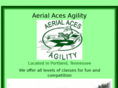aerialacesagility.com