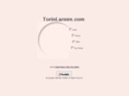 torinlarsen.com