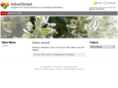 adversmart.com