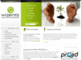 wizentis.com