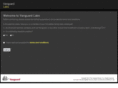 vanguard-labs.com