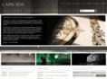 lapicida.co.uk