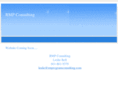 rmprogramconsulting.com