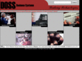 dossusa.com