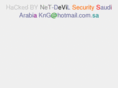 exploitingtrafficexchanges.com