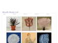 mireillemoslerltd.com
