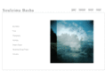 souleimabasha.com