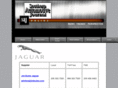 ineedjaguarparts.com