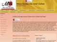 mbeyagoldencityhotel.com