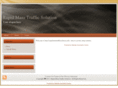 rapidmasstrafficsolution.info