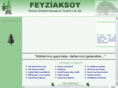 feyziaksoy.com