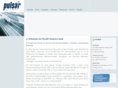 pulsar-interactive-media.net