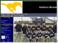 ashburnmustangs.net