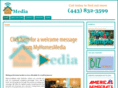 mlynchmedia.com