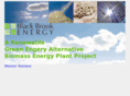 blackbrookenergy.com