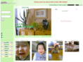 linkproject.net