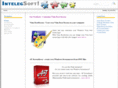 intelegsoft.com
