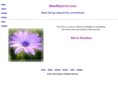 newbeyond.com