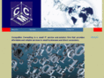 compumexconsulting.com