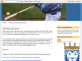 brokenbatsingle.com