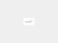 synfinity.com